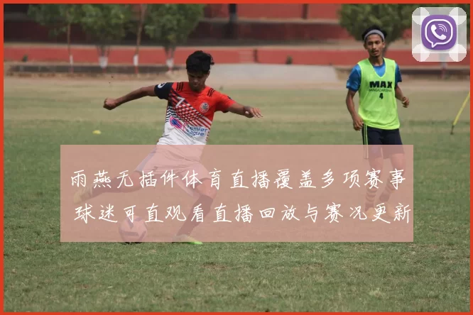 雨燕无插件体育直播覆盖多项赛事 球迷可直观看直播回放与赛况更新