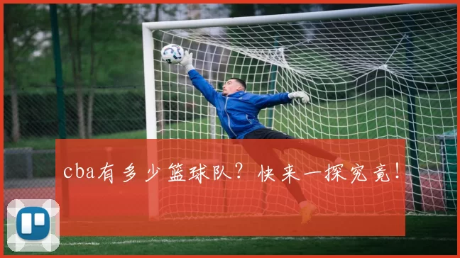 cba有多少篮球队？快来一探究竟！