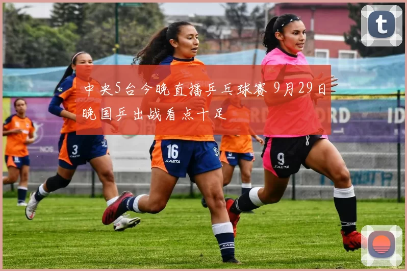 中央5台今晚直播乒乓球赛 9月29日晚国乒出战看点十足