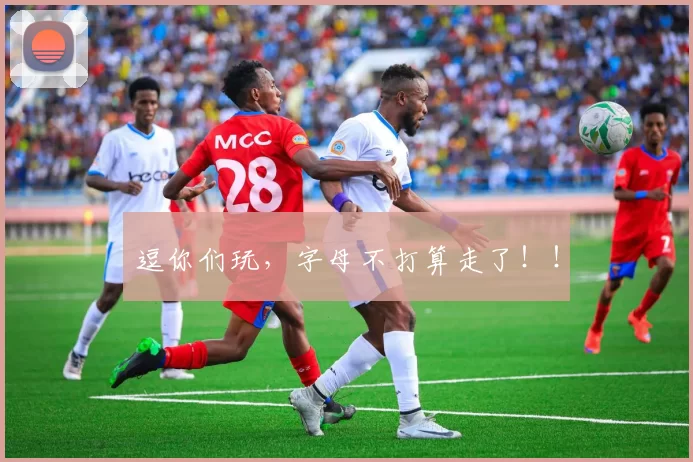 逗你们玩，字母不打算走了！！