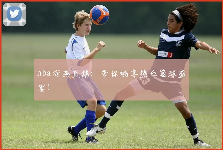 nba海燕直播：带你畅享热血篮球盛宴！