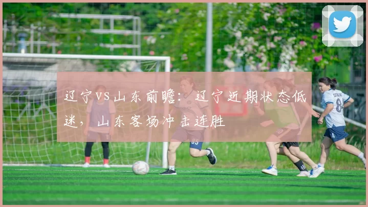 辽宁vs山东前瞻:辽宁近期状态低迷,山东客场冲击连胜